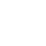 msi-logo-White